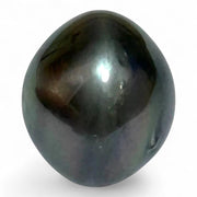 Massive Oval 21 Ct 13.3 x 15.4 mm Peacock Gray Tahitian Sea Pearl
