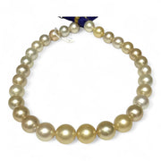 Giant 12 - 16.3mm 30 pcs South Sea Light Golden Round Pearl 16" Strand