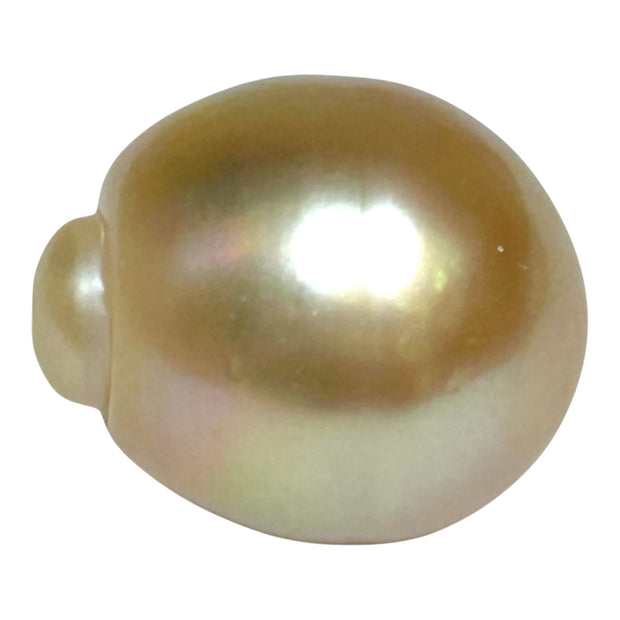 Giant 15.7 x 18.4mm Rich Gold Philippines South Sea Pearl Loose