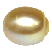 Giant 13.9 x 16.4mm 23.6 Carats Gold South Sea Pearl Loose