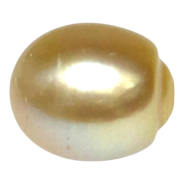 Giant 13.9 x 16.4mm 23.6 Carats Gold South Sea Pearl Loose