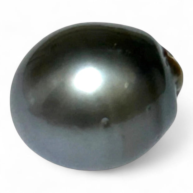 Massive Oval 25.7 Carat 14.5 x 16.5mm Peacock Gray Tahitian Pearl