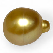 Giant 14 x 17.2mm 23.3ct Rich Golden Philippine South Sea Loose Pearl
