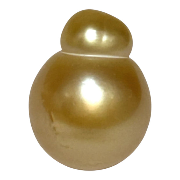 Giant 13.9 x 18.2mm 24.6 Carats Golden Philippines South Sea Pearl