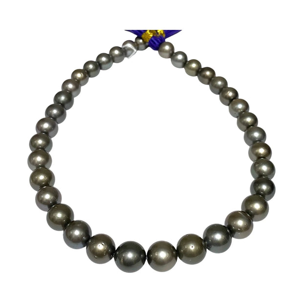 Huge Round 11-13mm 35 pcs Tahitian Peacock Gray Green Pearl 16" Strand
