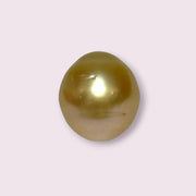 Oval Giant 14.3 x 15.8mm 23.4 Carats Deep Gold South Sea Pearl