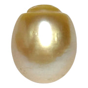 Giant 13.9 x 16.4mm 23.6 Carats Gold South Sea Pearl Loose