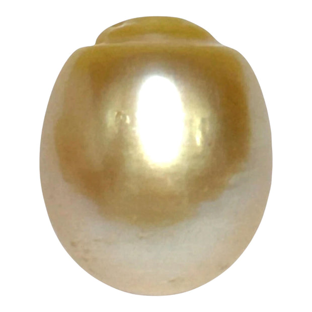Giant 13.9 x 16.4mm 23.6 Carats Gold South Sea Pearl Loose