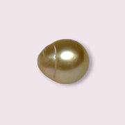 Giant Oval 14.5 x 16.8mm 24.6 Carats Deep Gold South Sea Pearl Loose