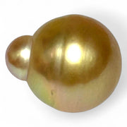 Grand 14.5 x 17mm, 23.3 Carats Deep Golden Philippines Sea Pearl Loose