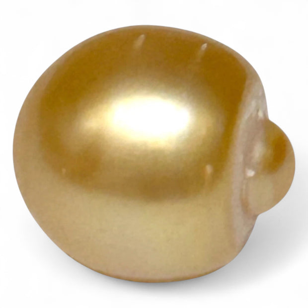 Giant 14.6 x 16mm 23.67 Carat Rich Golden Oval South Sea Loose Pearl