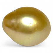 Oval 13.3x16.5mm 19.5ct Golden Philippine South Sea Loose Pearl Loose