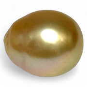 Elegant 26.4 Carat 14.8 x 17.4mm South Sea Pearl Golden Oval Radiant