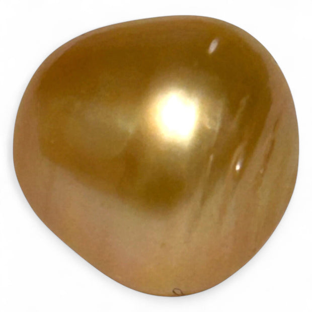 Enormous 14.9 x 15.2mm 23.5 Carat Deep Gold Philippines South Sea Pearl
