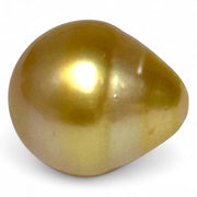Magnificent Oval 14.6 x 16.8mm 23.2 Carats Golden Philippine Sea Pearl
