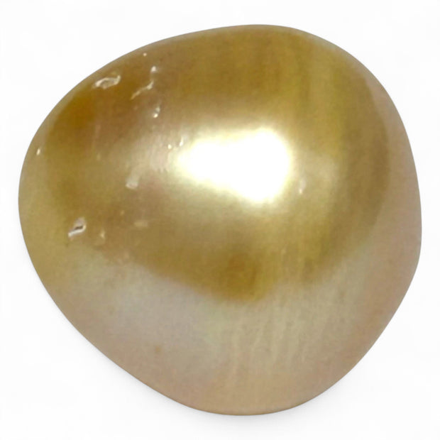 Oval Drop 16.1 x 16.4mm 29.2 Carats Rich Gold South Sea Pearl Loose
