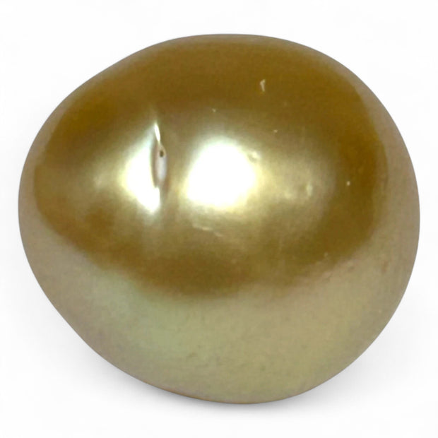 14.8 x 16.4mm 25.8 Carats Rich Gold South Sea Pearl Un-Drilled