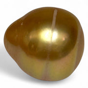 Large 14.9 x 16.1mm 24.4 Carat Deep Golden South Sea Pearl Loose