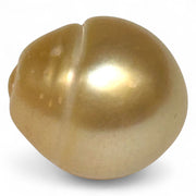 Giant Rich Golden 14.1 x 15.2mm 21.06 Carats South Sea Pearl Loose
