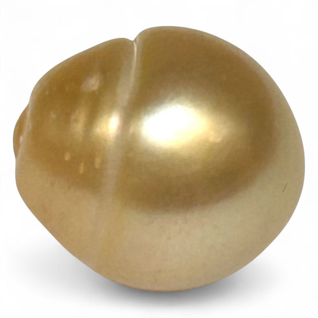 Giant Rich Golden 14.1 x 15.2mm 21.06 Carats South Sea Pearl Loose