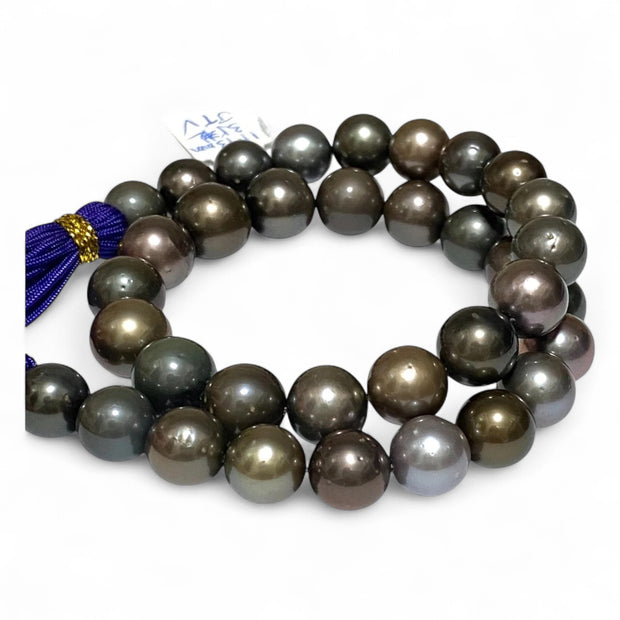 Round 11 - 13mm 35 pcs Multi Peacock Gray Green Tahitian Pearl 16" Strand