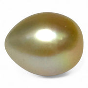 Teardrop 12,7 x 15.6mm 18.3 Carat Gold Philippines South Sea Pearl