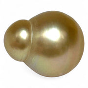 Giant 14.2 x 17.3mm 23 Carat Philippines South Sea Gold Cultured Pearl