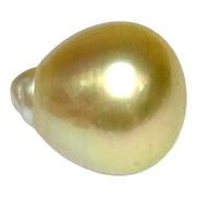 Teardrop 12.2 x 13.8mm 14.6 Carat Gold Philippines South Sea Pearl