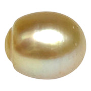 Giant 13.9 x 16.4mm 23.6 Carats Gold South Sea Pearl Loose