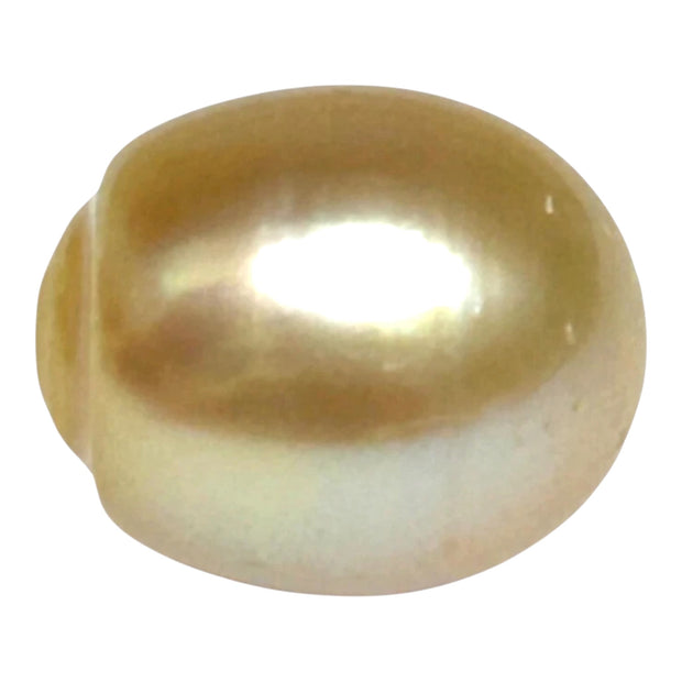 Giant 13.9 x 16.4mm 23.6 Carats Gold South Sea Pearl Loose