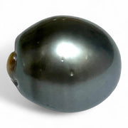 Massive Oval 25.7 Carat 14.5 x 16.5mm Peacock Gray Tahitian Pearl