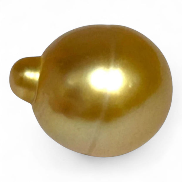 Giant 14 x 17.2mm 23.3ct Rich Golden Philippine South Sea Loose Pearl
