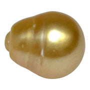Giant 14.6 x 17.3mm 26.4 Carats Deep Golden Philippines Sea Pearl