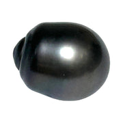 Giant 12.9 x 15.9mm 18.3 cts Tahitian Peacock Black-Green Pearl Loose