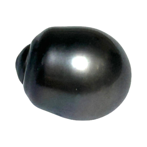 Giant 12.9 x 15.9mm 18.3 cts Tahitian Peacock Black-Green Pearl Loose