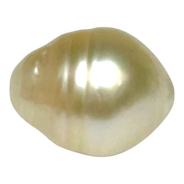 Premier Oval 13.1 x 16.6mm 19.4 Carats Gold South Sea Pearl Loose