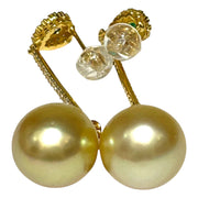 Oval Drop 11.9 x 14.2mm Rich Golden South Sea Pearl Dangle Earrings