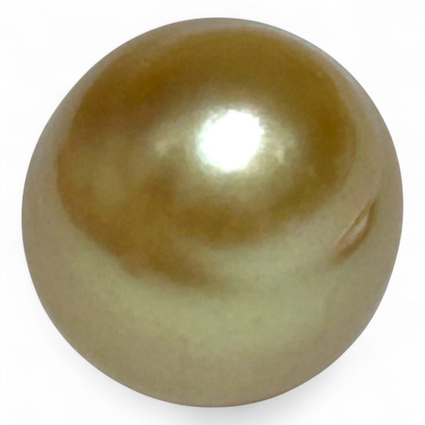 14.8 x 16.4mm 25.8 Carats Rich Gold South Sea Pearl Un-Drilled