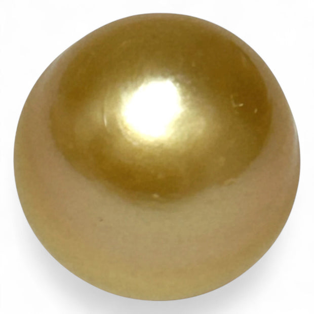 Oval Giant 19.8 Carats 13.9 x 14.2mm Deep Gold South Sea Loose Pearl
