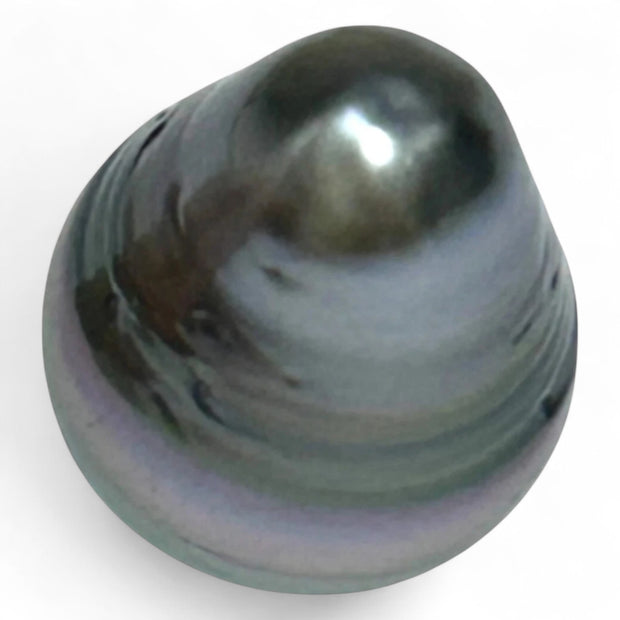 Stunning 12.1 x 15.9mm Teardrop Bottom Round Tahitian South Sea pearl