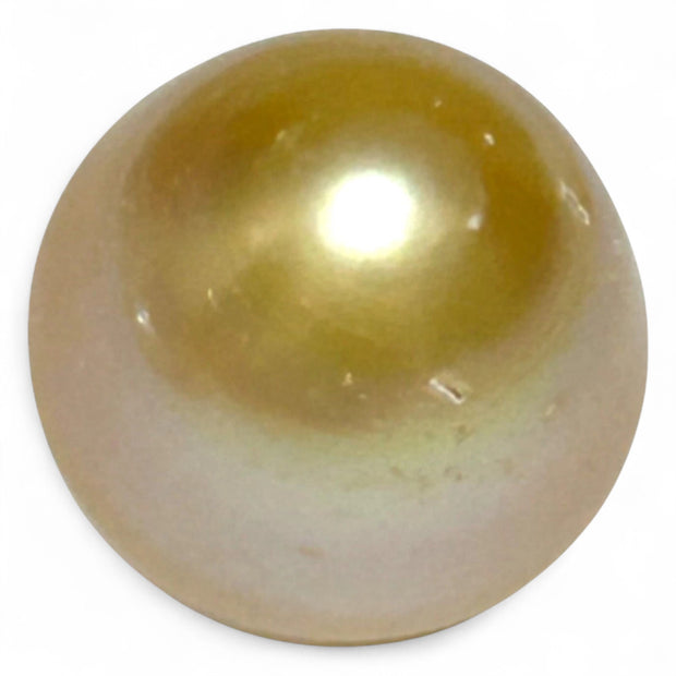 Oval Drop 16.1 x 16.4mm 29.2 Carats Rich Gold South Sea Pearl Loose