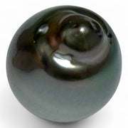 Oval Drop 13.8 x 17.7mm 21.6 Carats Tahitian Sea Peacock Mid-Gray Pearl