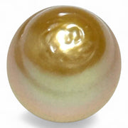 Elegant 26.4 Carat 14.8 x 17.4mm South Sea Pearl Golden Oval Radiant