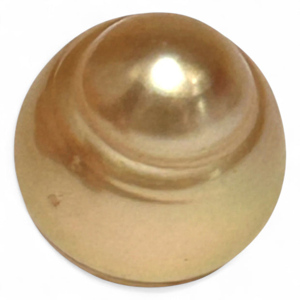 Radiant 18.8ct 13.5x16mm Rich Golden Philippine South Sea Pearl Loose
