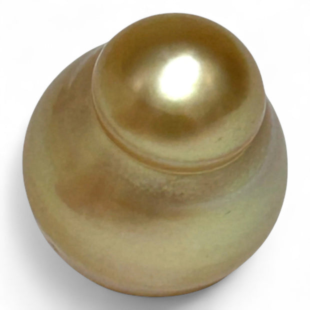 Giant 14.2 x 17.3mm 23 Carat Philippines South Sea Gold Cultured Pearl