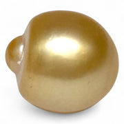 Giant 14.6 x 16mm 23.67 Carat Rich Golden Oval South Sea Loose Pearl