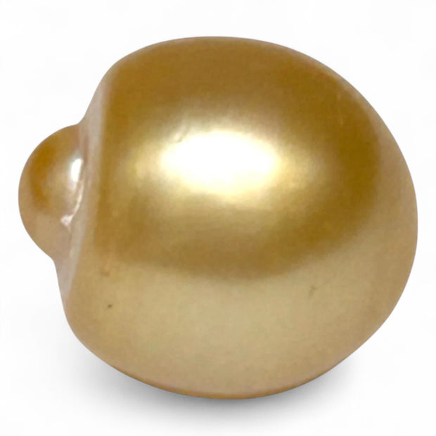 Giant 14.6 x 16mm 23.67 Carat Rich Golden Oval South Sea Loose Pearl