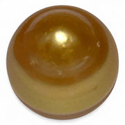 Large 14.9 x 16.1mm 24.4 Carat Deep Golden South Sea Pearl Loose