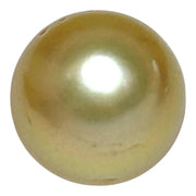 Giant 14.3 x 15.8mm 23.4ct Natural Deep Gold South Sea Pearl Loose
