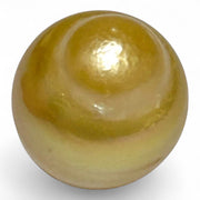 Gorgeous 15.4 x 18.2mm 29.6 Carats South Sea Pearl – Rich Gold Oval